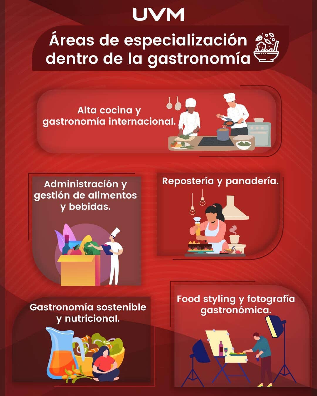 Infografía En qué áreas puedes especializarte si estudias Gastronomía