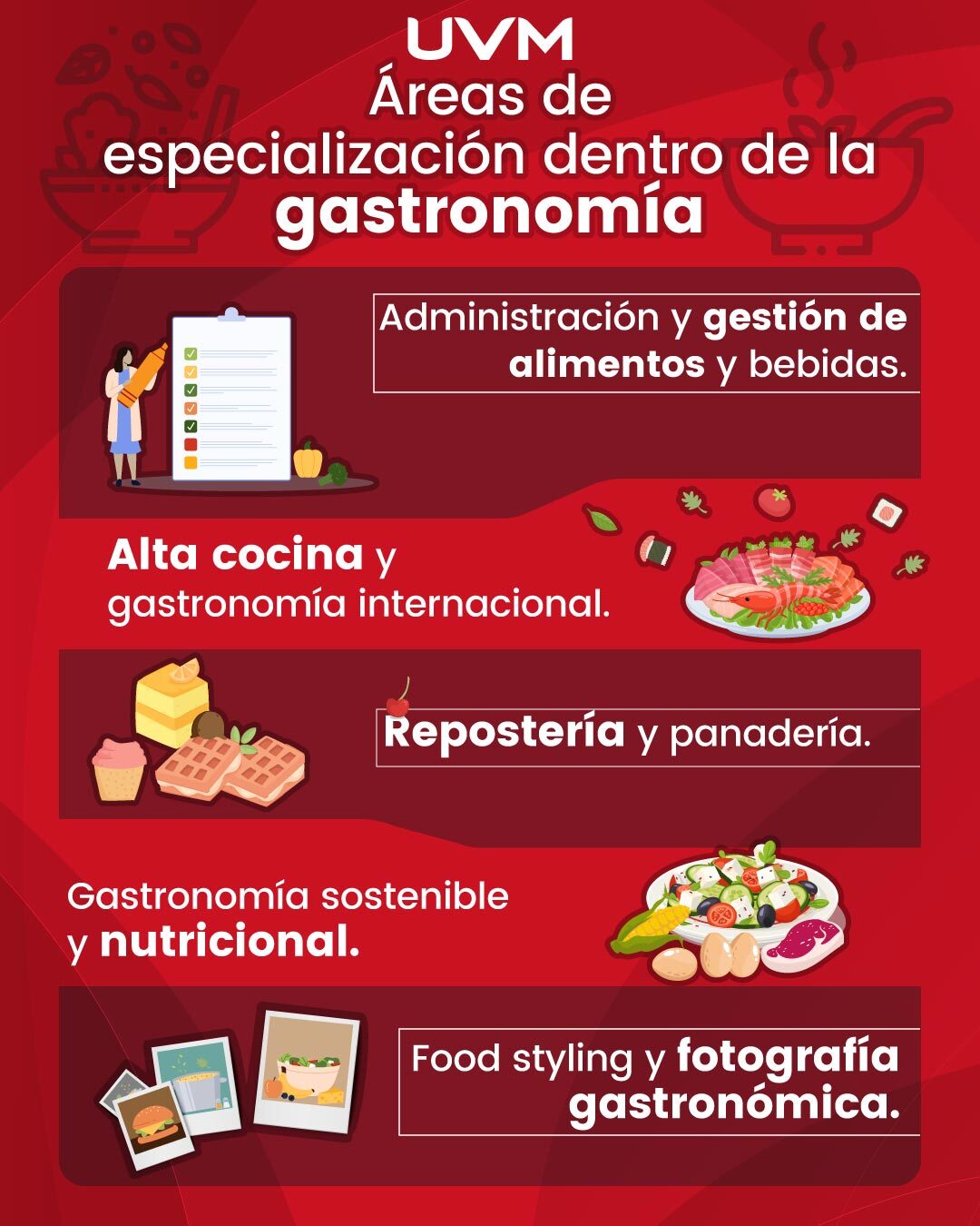 Infografía sobre las áreas de especialización de la carrera de Gastronomía