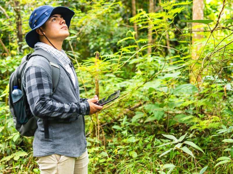 Estudiante de biología realizando trabajo de campo en un ecosistema forestal, observando la flora con herramientas tecnológicas.