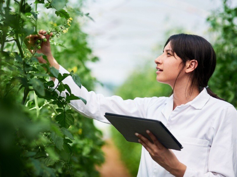 Bióloga estudiando plantas en un invernadero, utilizando una tableta para recolectar datos científicos.