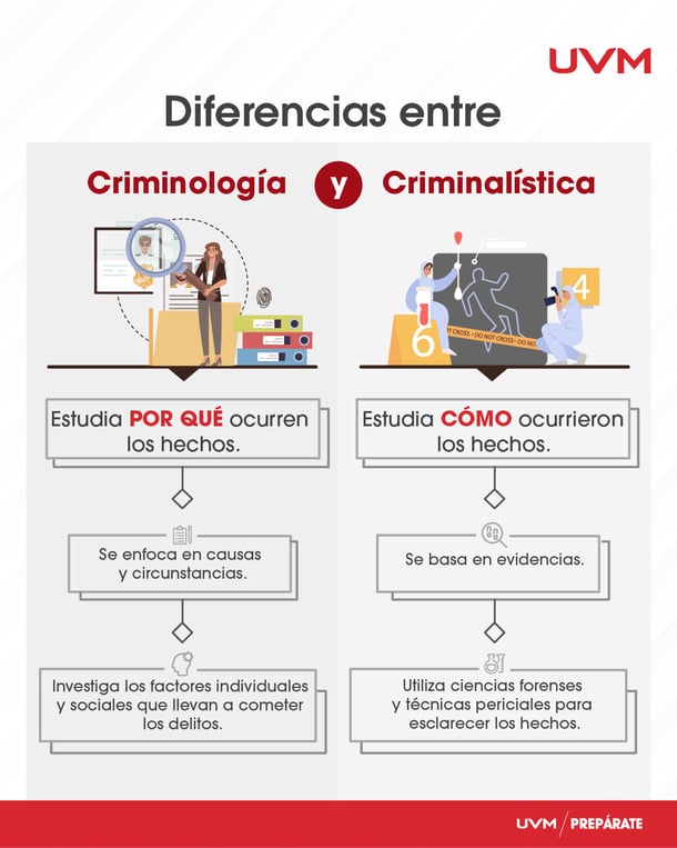 Carrera de Criminología en México: cuánto dura y cuánto gana un profesional  | Blog UVM