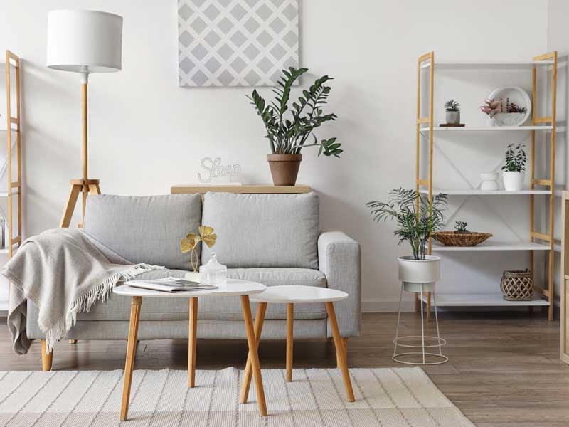 Mitos y Realidades de la Carrera de Diseño de Interiores