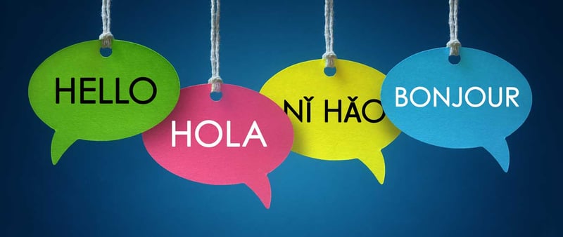 ¿A qué se dedica un Licenciado en Lenguas Extranjeras? | UVM