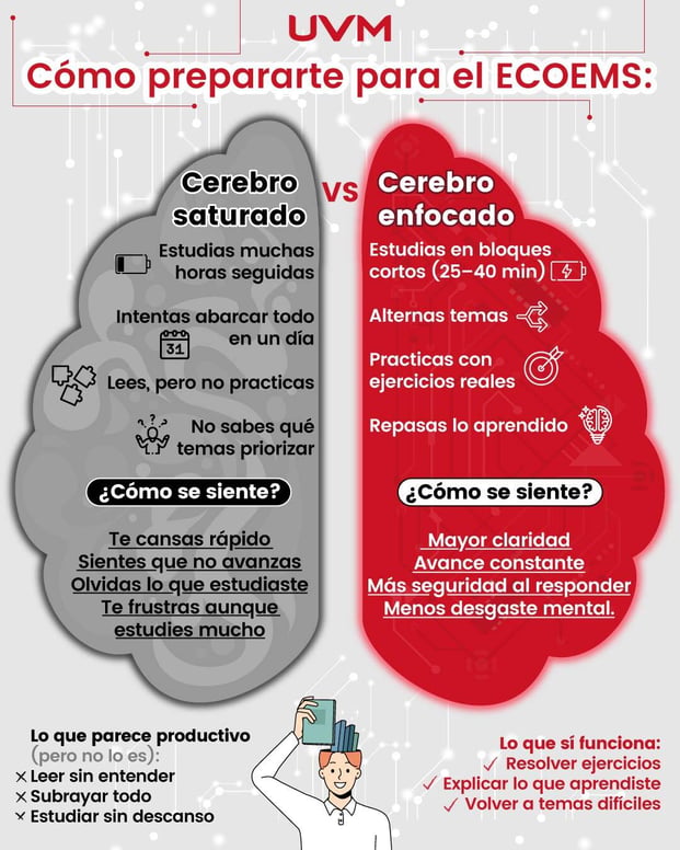 infografía, como preparatte para el examen ecoems