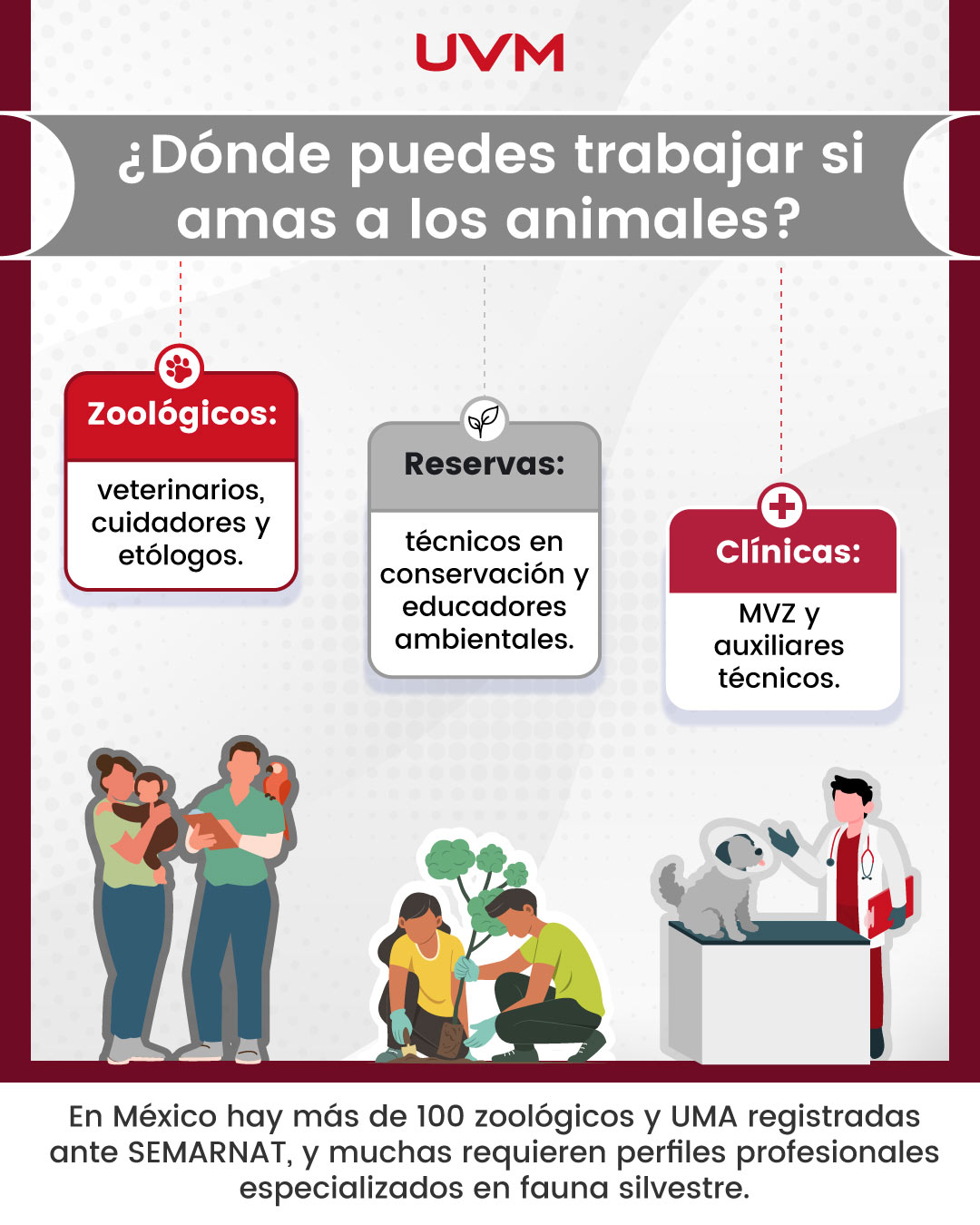 Dónde puedo trabajar si me gustan los animales