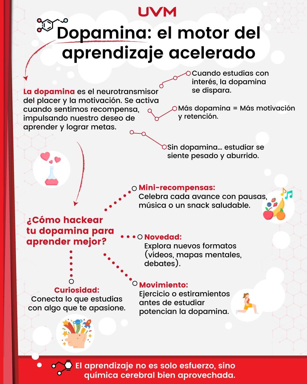 Dopamina-el-motor-del-aprendizaje-acelerado