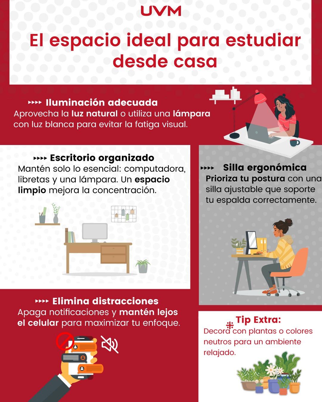Crea un espacio de estudio adecuado en casa