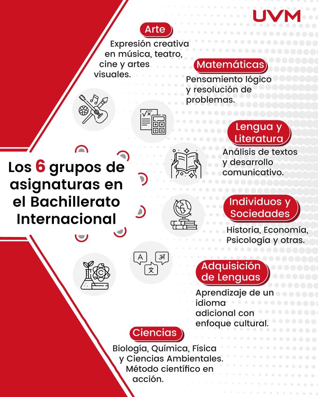 Cuáles son las diferencias entre el Bachillerato Internacional y los sistemas tradicionales