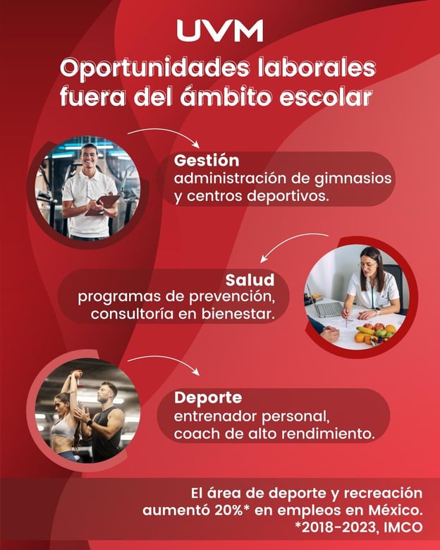 Maestro de educación física: Oportunidades laborales fuera del ámbito escolar