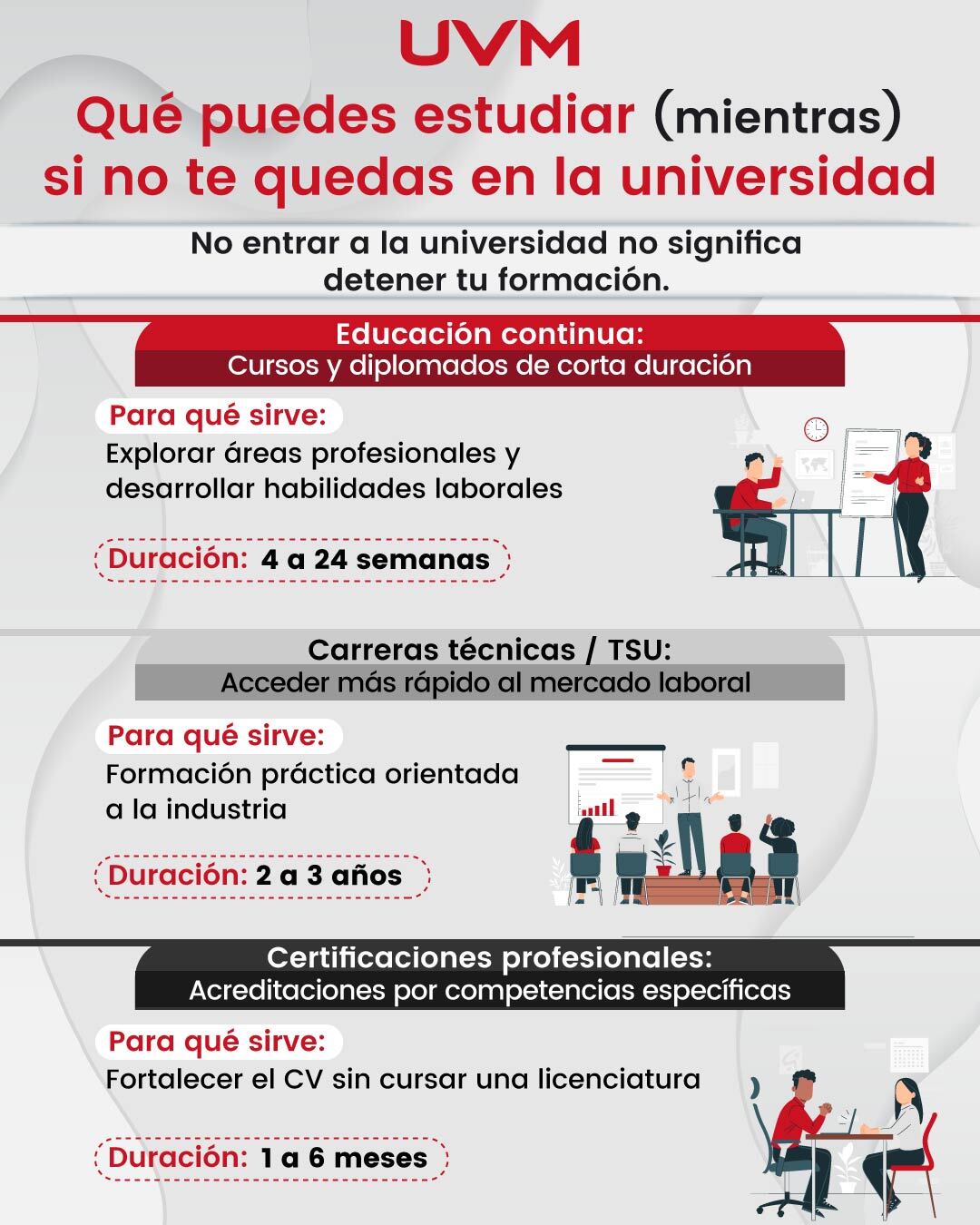Infografía: Qué estudiar mientras entras a la universidad