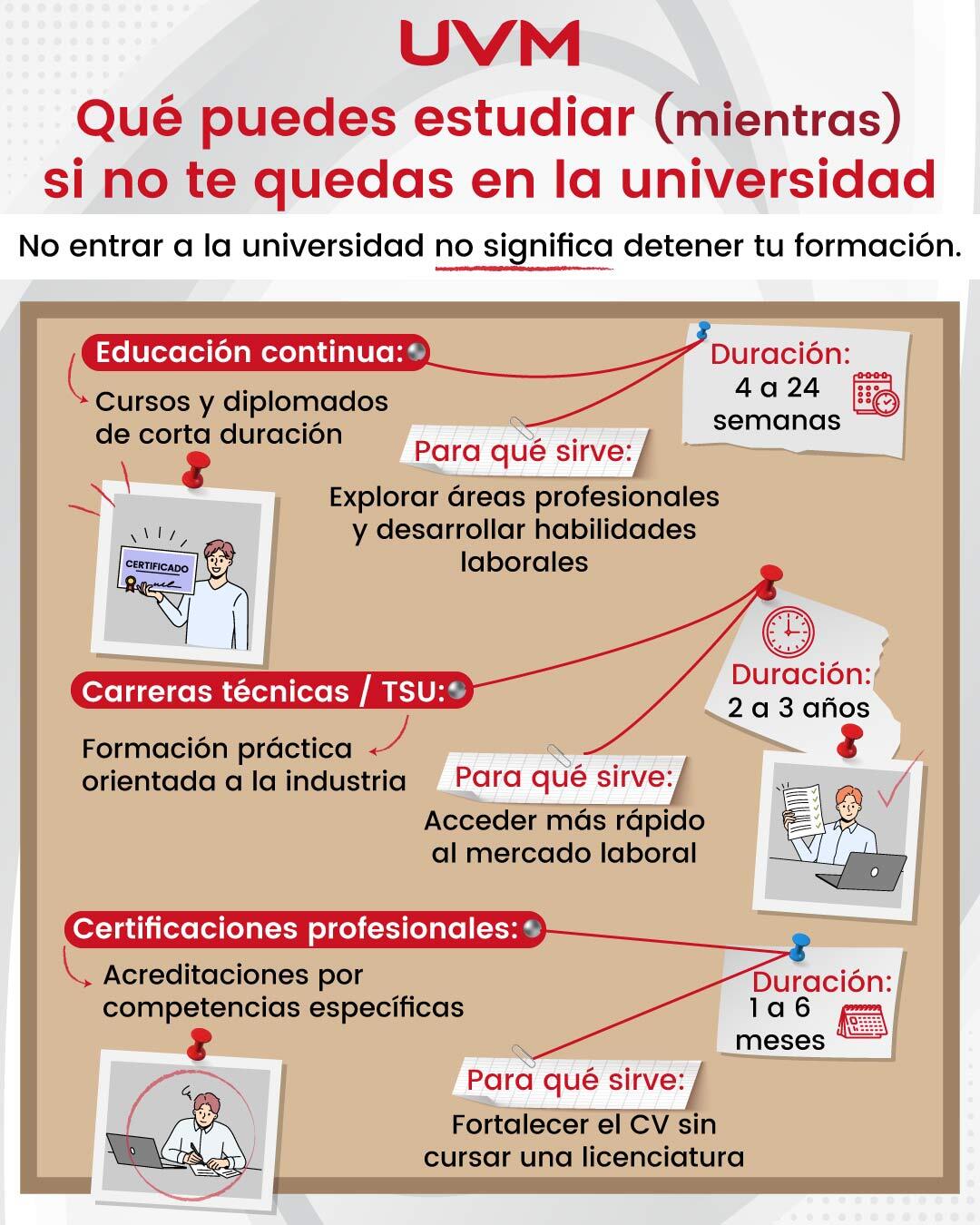 Infografía sobre qué estudiar mientras ingresas a la universidad