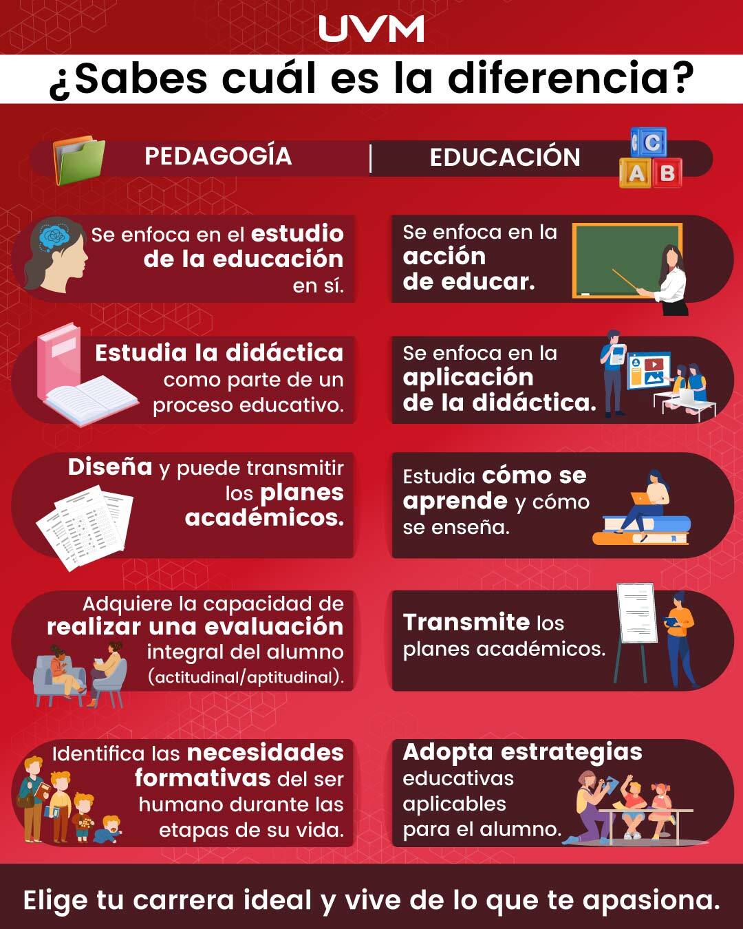 Infografía sobre las diferencias entre la Educación y la Pedagogía