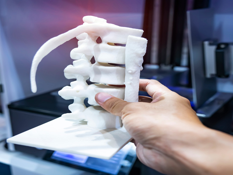 Modelo 3D de columna vertebral impreso para uso médico o educativo
