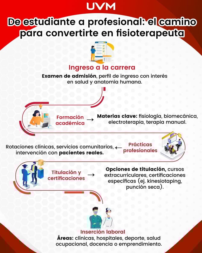 como es que la fisioterapia combina teoría, práctica y desarrollo profesional continuo, infografía