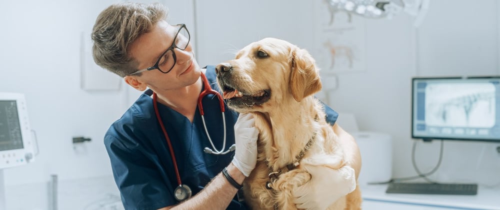 ¿Por qué estudiar Medicina Veterinaria y Zootecnia?