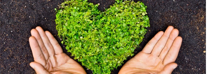 10 acciones para ser más eco-friendly